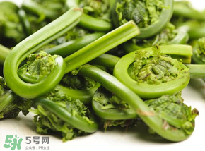 蕨菜怎么洗？蕨菜怎么清洗才干凈？