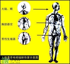 防輻射服什么時候開始穿？防輻射服真的有用嗎？