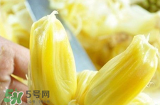 菠蘿蜜怎么吃？菠蘿蜜好吃嗎？