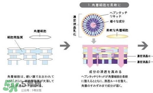 pola極光精華怎么用？pola極光精華使用方法