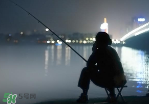 春分能夜釣嗎？春分能釣鯉魚嗎？