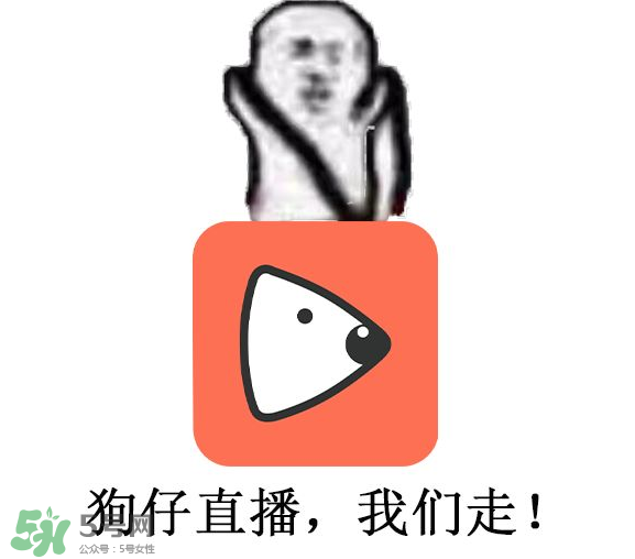 黃鱔為什么火了？黃鱔我們走為什么火了？