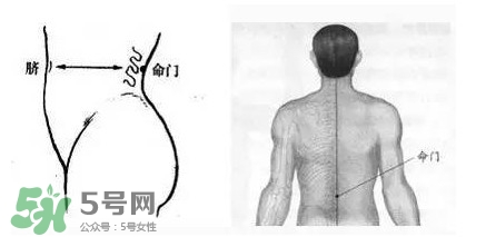 艾灸可以去黑眼圈嗎？艾灸可不可以去黑眼圈