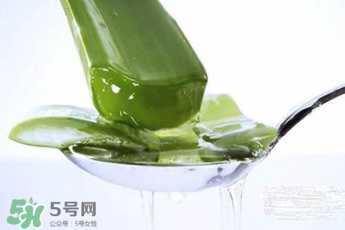 黃瓜水和蘆薈水哪個好？黃瓜水和蘆薈水功效區(qū)別