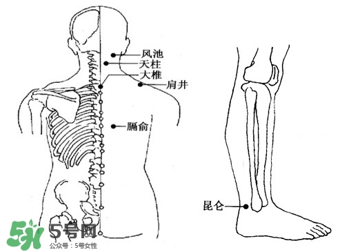 刮痧能治頸椎病嗎？頸椎病刮痧正確圖片