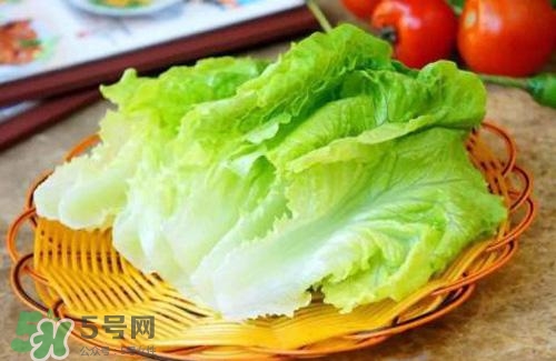 生菜可以放冰箱嗎？生菜可以放冰箱多久？