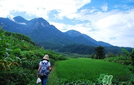 四月份去哪里旅游比較好？四月份最適合旅游的地方