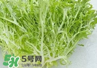 苦菊能和羊肉一起吃嗎？苦菊可以和羊肉一起吃嗎