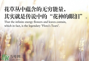 fiori segreti花草的秘密什么牌子_什么檔次