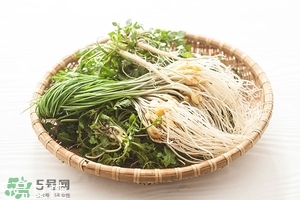 野生蒜的作用與功效 野生大蒜營(yíng)養(yǎng)價(jià)值