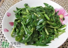 養(yǎng)心菜哪些人不能吃?養(yǎng)心菜哪些人可以吃?