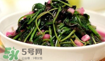 莧菜怎么吃？莧菜怎么炒