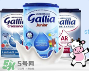 gallia佳利雅是什么品牌？gallia佳利雅奶粉是哪個(gè)國家的品牌？