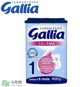 gallia佳利雅奶粉怎么沖？gallia佳利雅奶粉沖調(diào)方法？