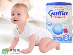 gallia奶粉分段介紹 gallia奶粉分段說明