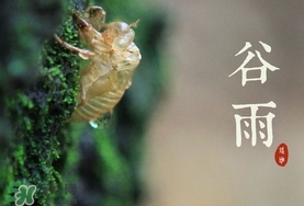 谷雨養(yǎng)生吃什么？谷雨養(yǎng)生常識