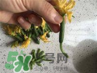 黃瓜花能吃嗎？黃瓜花怎么吃