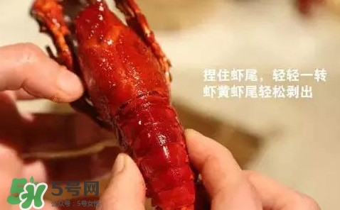 蝦子怎么吃？蝦子的吃法