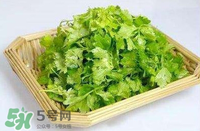 芹菜葉能吃嗎？芹菜葉可以吃嗎