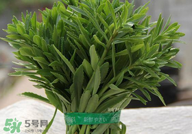 救心菜有毒嗎？救心菜怎么吃沒毒？