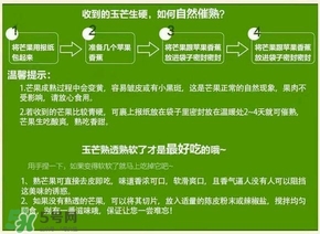 貴妃芒果硬的能吃嗎？貴妃芒果青的能吃嗎