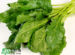 根達(dá)菜的營養(yǎng)價值 根達(dá)菜的功效與作用