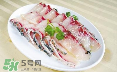 生魚是什么魚？生魚片是什么魚