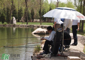 立夏好釣魚嗎？立夏怎么釣魚？