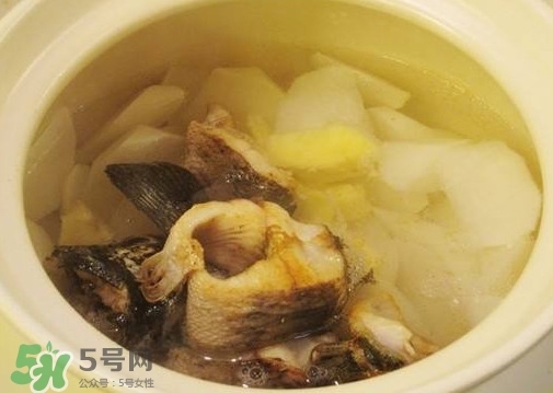 黑魚(yú)能和蘿卜一起吃嗎？黑魚(yú)能和胡蘿卜同食嗎