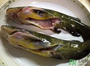 嘎魚(yú)是鯰魚(yú)嗎？嘎魚(yú)是黃辣丁嗎