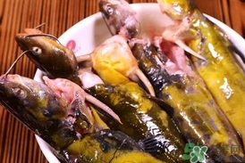 嘎魚(yú)是鯰魚(yú)嗎？嘎魚(yú)是黃辣丁嗎