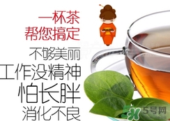 脂流茶成分 脂流茶可以減肥嗎？