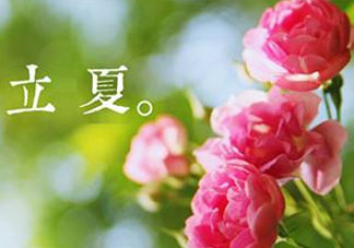 立夏開(kāi)什么花？立夏有什么花？