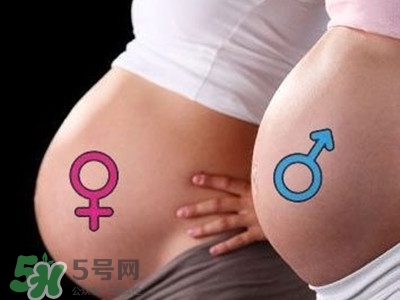 B超單數(shù)據(jù)怎么看男女？B超單看男女準嗎？