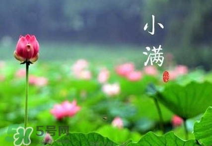 2017小滿是幾月幾日？小滿節(jié)氣養(yǎng)生