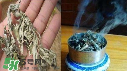 艾葉可以驅(qū)蚊子嗎？艾葉能驅(qū)蚊子嗎