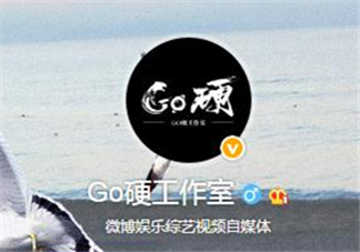 go硬工作室和卓偉有什么關(guān)系？go硬工作室是卓偉前員工成立的？