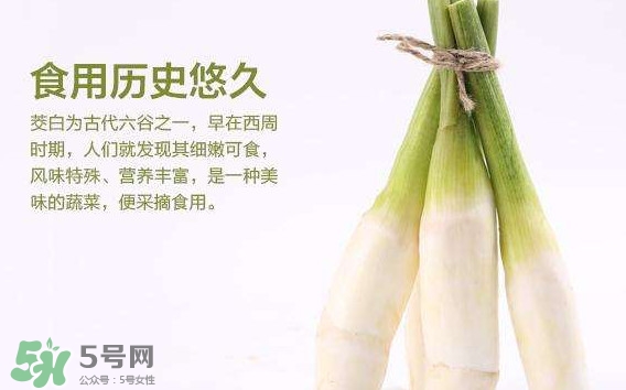 茭白是發(fā)物嗎？茭白是不是發(fā)物