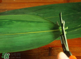 粽葉是干的好還是新鮮的好？干棕葉好還是新鮮棕葉好？