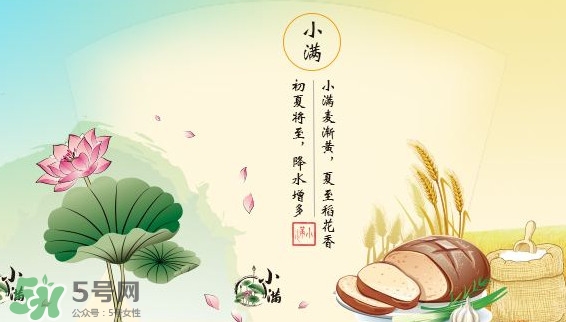 節(jié)氣小滿大滿是什么意思？24節(jié)氣為什么沒有大滿