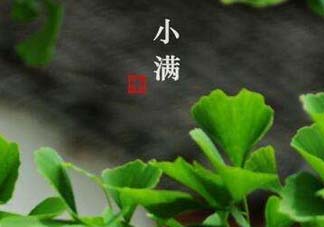 ?小滿(mǎn)可以回娘家嗎？?小滿(mǎn)能回娘家嗎？