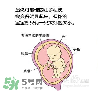 懷孕四個(gè)月需要做什么檢查？懷孕四個(gè)月胎兒圖