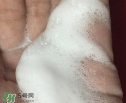 百雀羚三生花洗面奶多少錢？百雀羚三生花洗面奶價格