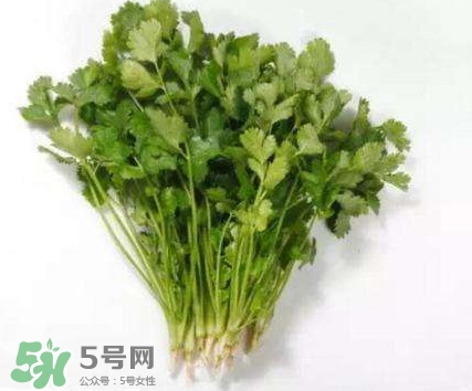 香菜洗腎有科學依據(jù)么？香菜能洗腎是真的嗎？