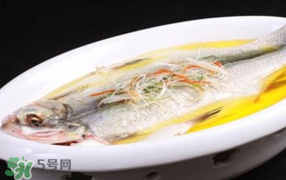 孕婦可以吃白條魚嗎？白條魚孕婦能吃嗎？