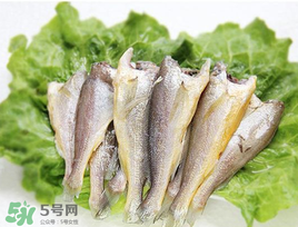 小黃魚可以養(yǎng)殖嗎？小黃魚能人工養(yǎng)殖嗎？