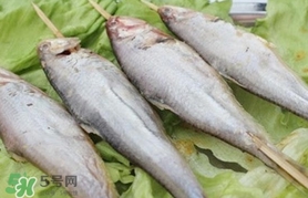 馬口魚怎么釣？馬口魚什么時(shí)候釣最好