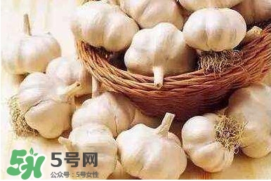 新蒜頭怎么保存不發(fā)芽？新蒜頭怎么存放