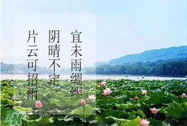 夏至是入伏嗎？夏至后多久入伏？