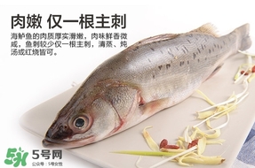 鱸魚是海鮮嗎？鱸魚是不是海鮮？